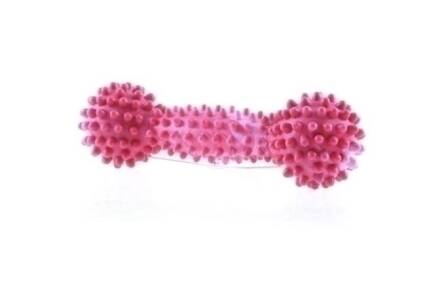 SumPlast hantel z kolcami 19cm