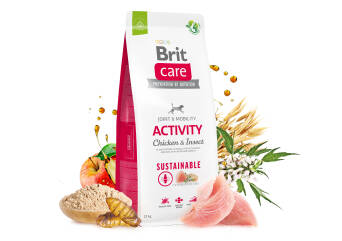 BRIT CARE DOG SUSTAINABLE ACTIVITY KURA INSECT 1k 