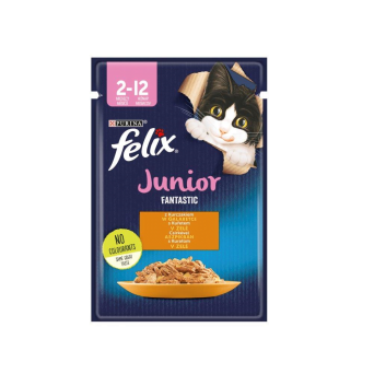 Felix 85g Fantastic Junior