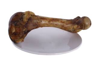 Artex karma dla psów kości 19cm
