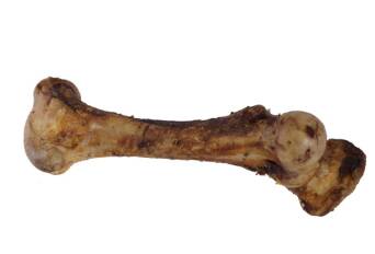 Artex karma dla psów kości 45cm duża
